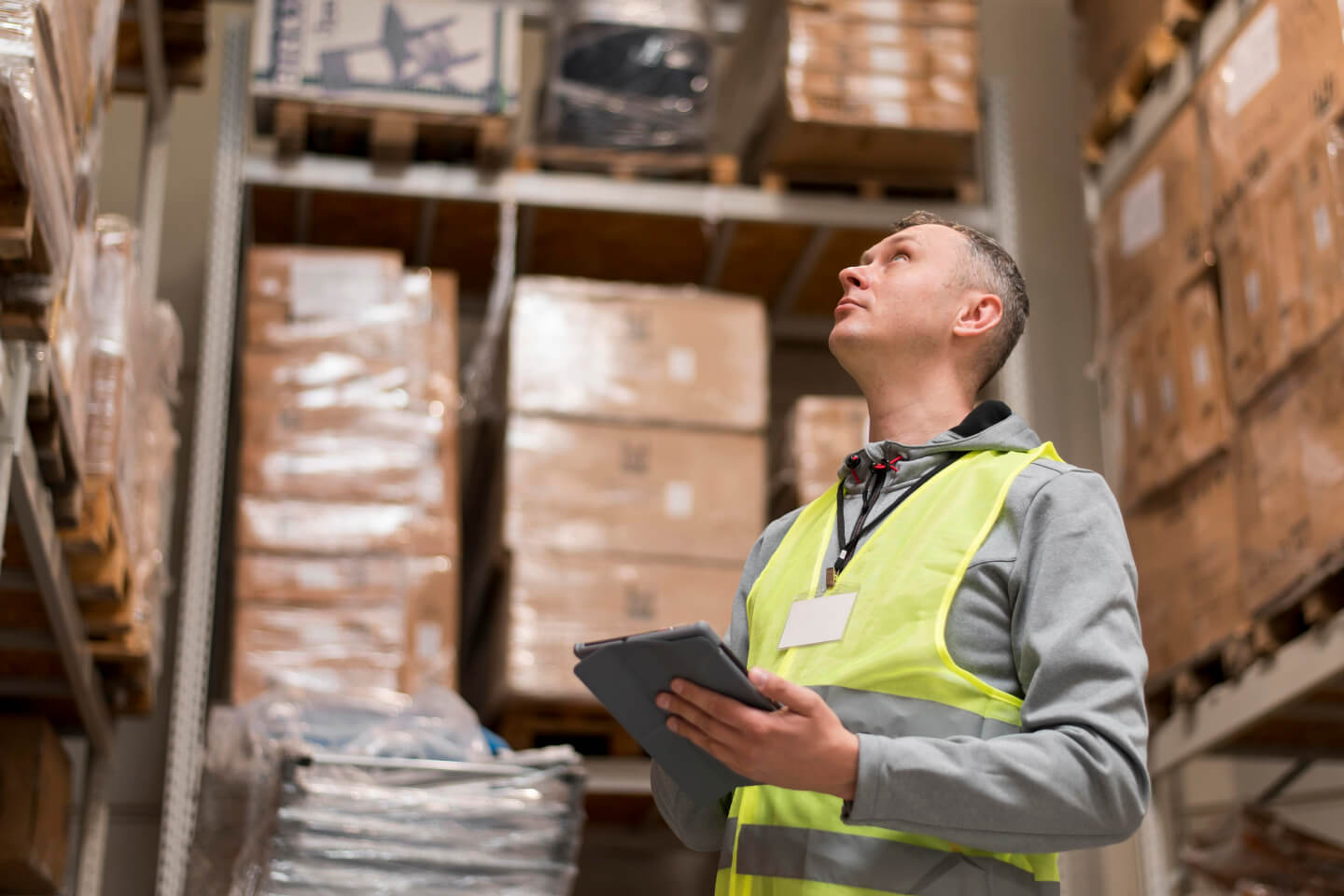 What is WMS (Warehouse Management Systems & Software)?